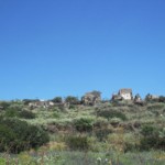 zucco grande eolie